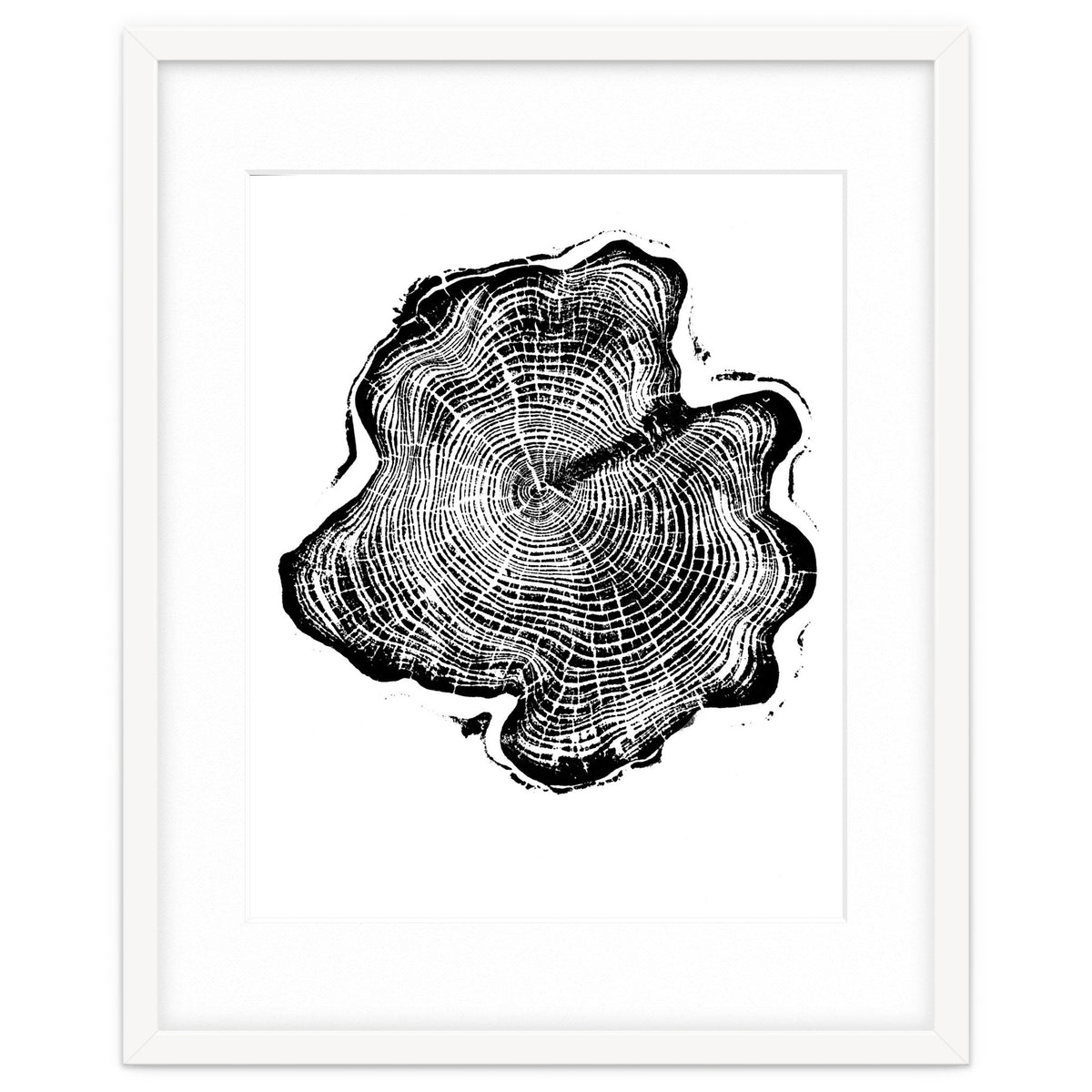 Alaskan Cypress, Tree Ring Art Print, Woodblock