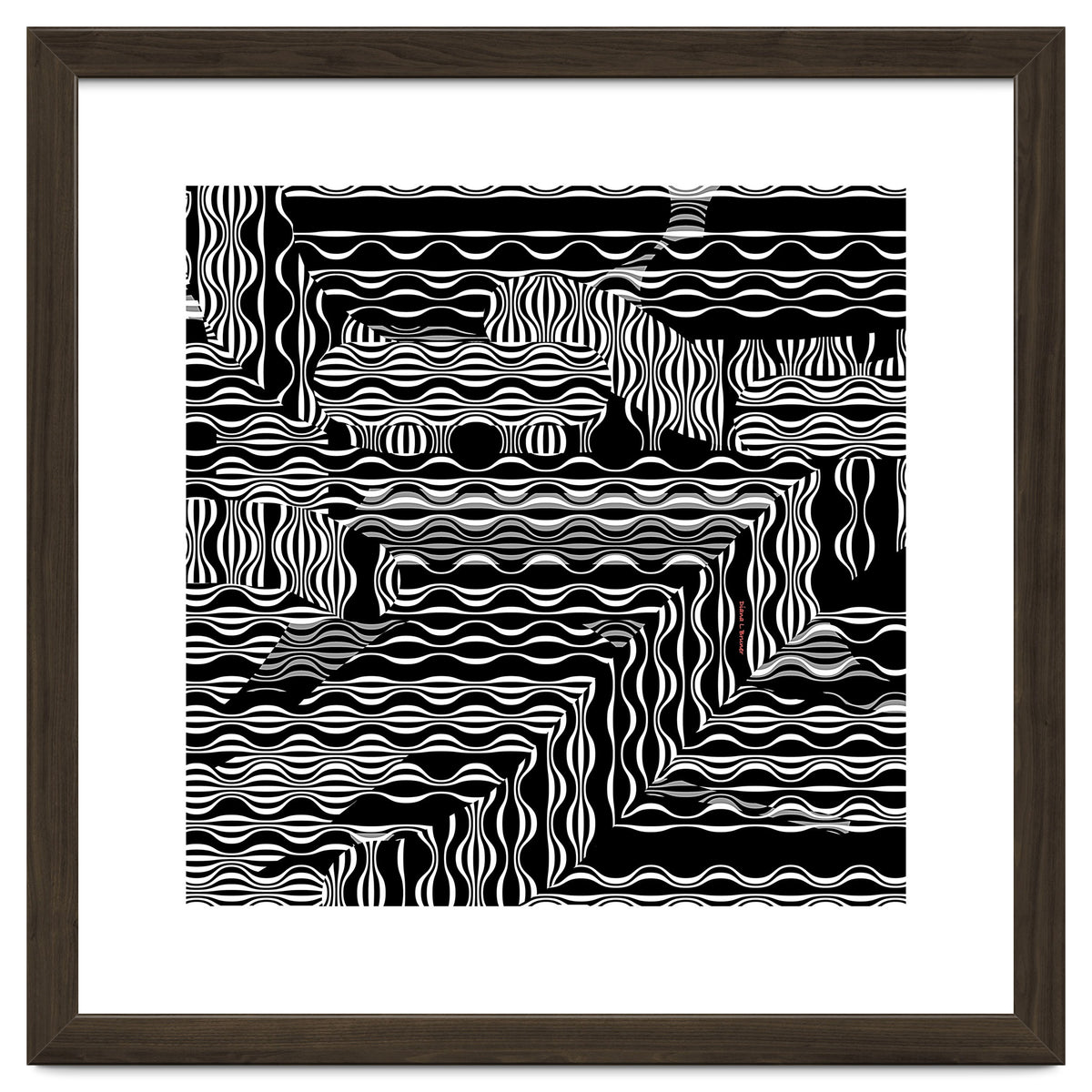 BLACK AND WHITE EXOTIC