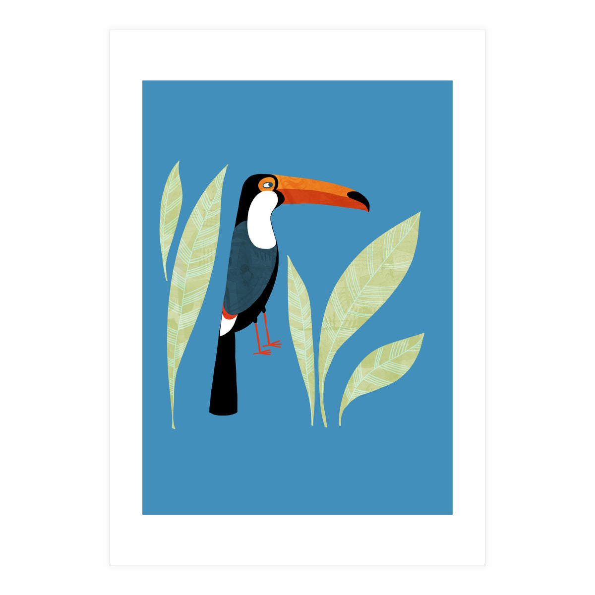 Toucan (Print Only)
