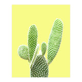 Cactus Yellow Background (Print Only) thumbnail