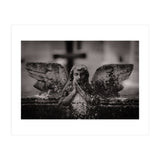 Winged Angel (Print Only) thumbnail