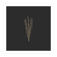 Delicate Fynbos Botanicals in Gold and Black - Square (Print Only)