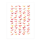 An Army Of Undisciplined Birds (Print Only) thumbnail