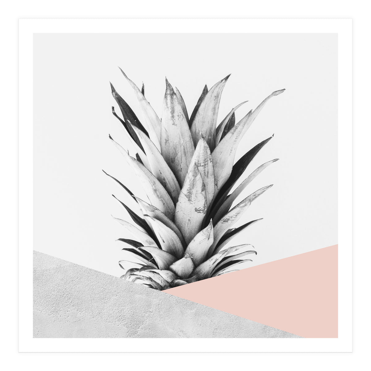 Scandinavian pineapple II (Print Only)