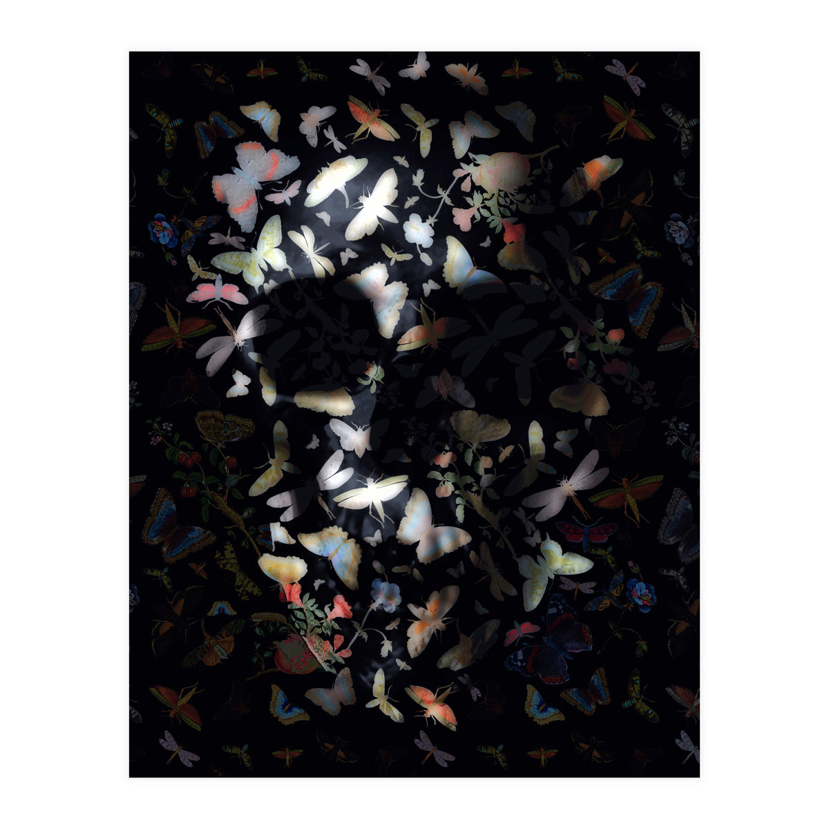 Butterfly Skull (Print Only)