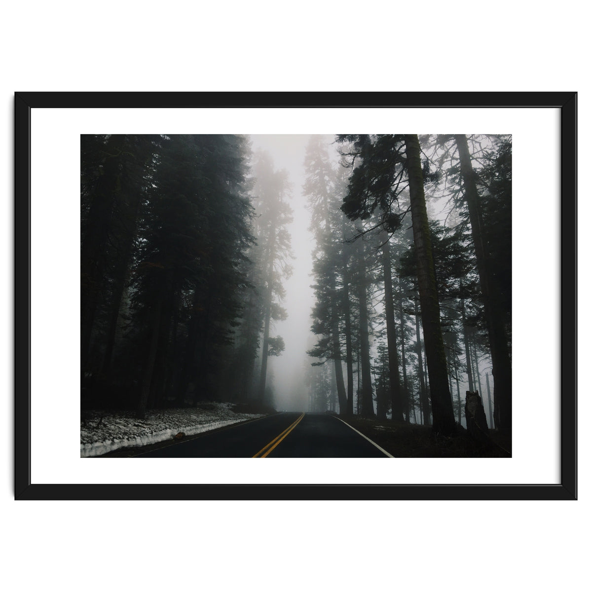 Foggy Yosemite