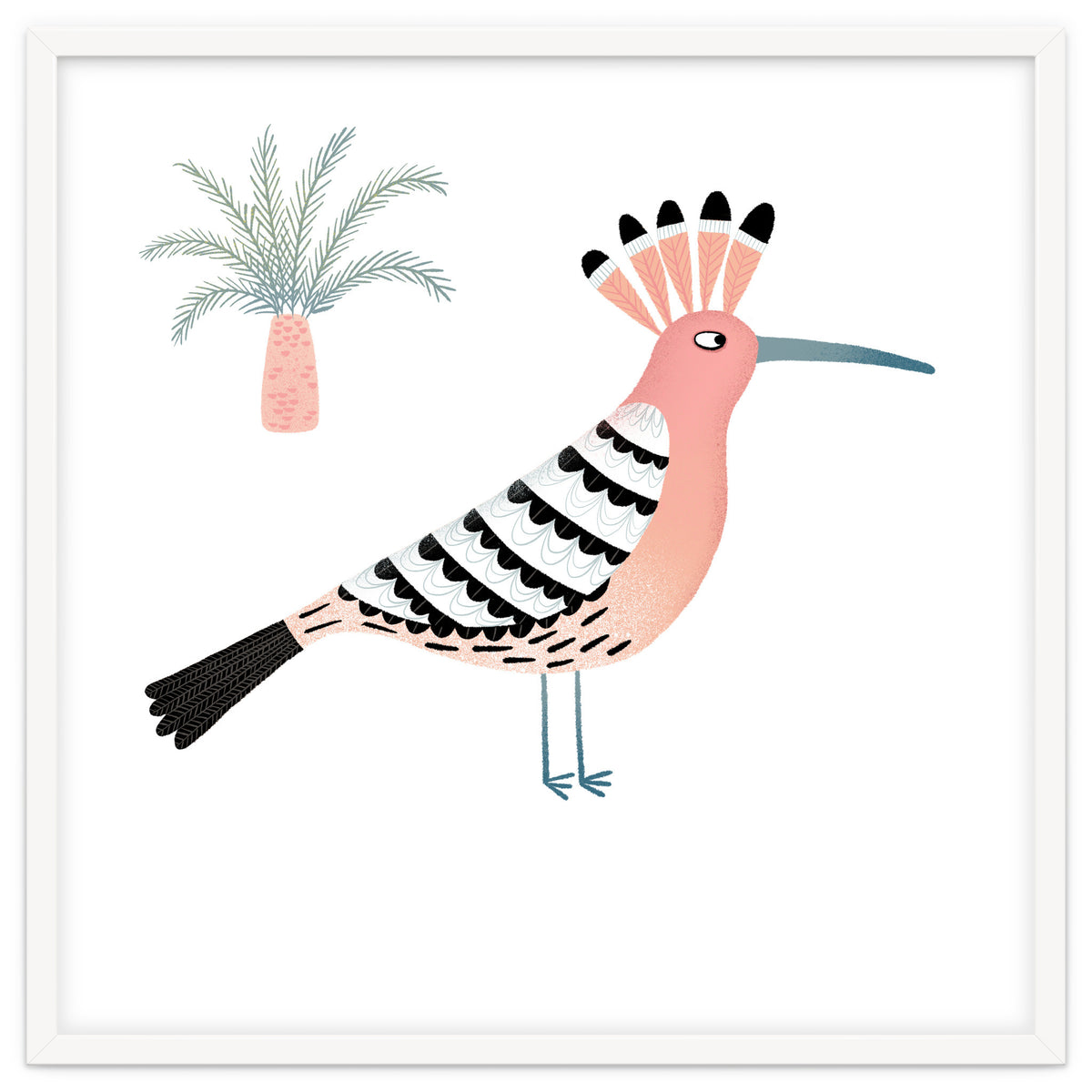 Hoopoe
