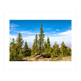 Pine Mountain (Print Only) thumbnail