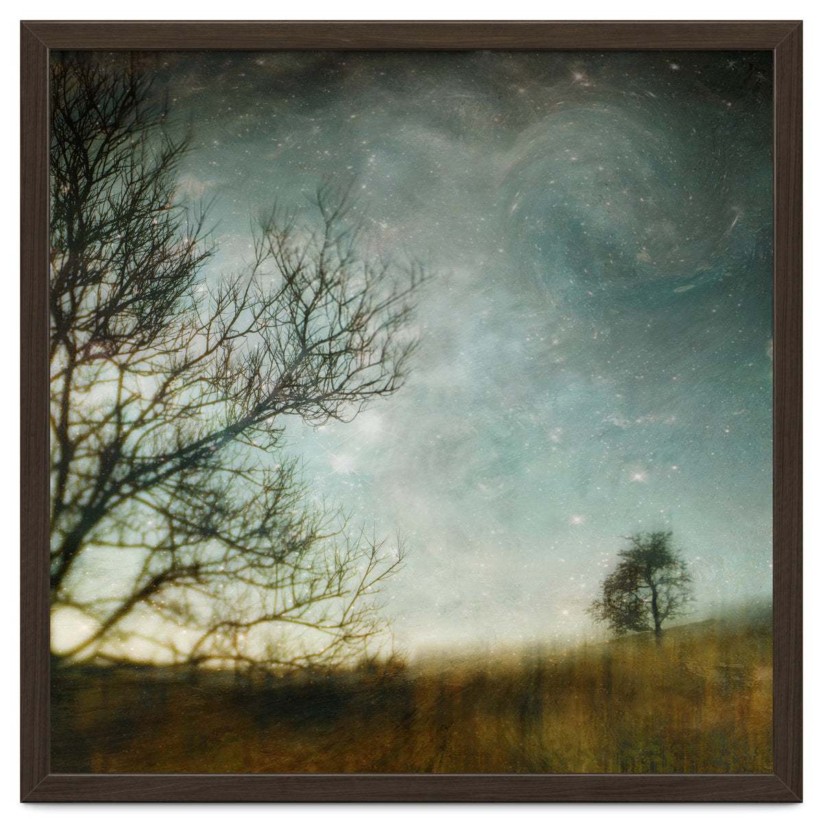 The Tree That Whispered