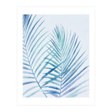 Coastal Palm Fronds (Print Only) thumbnail