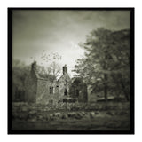 Gesto House (Print Only) thumbnail