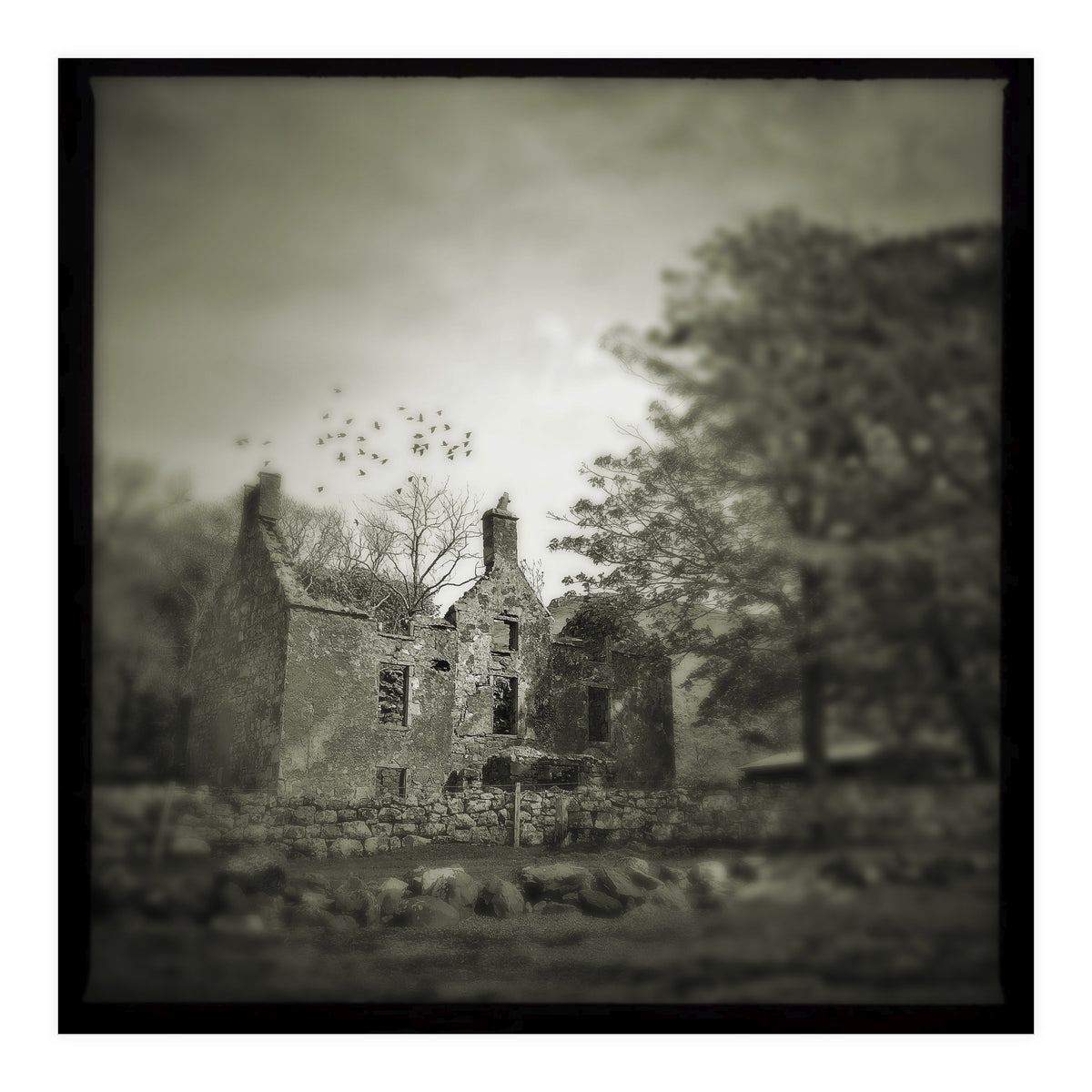 Gesto House (Print Only)