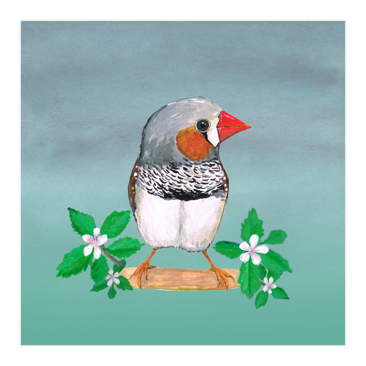 Zebra finch (Print Only)