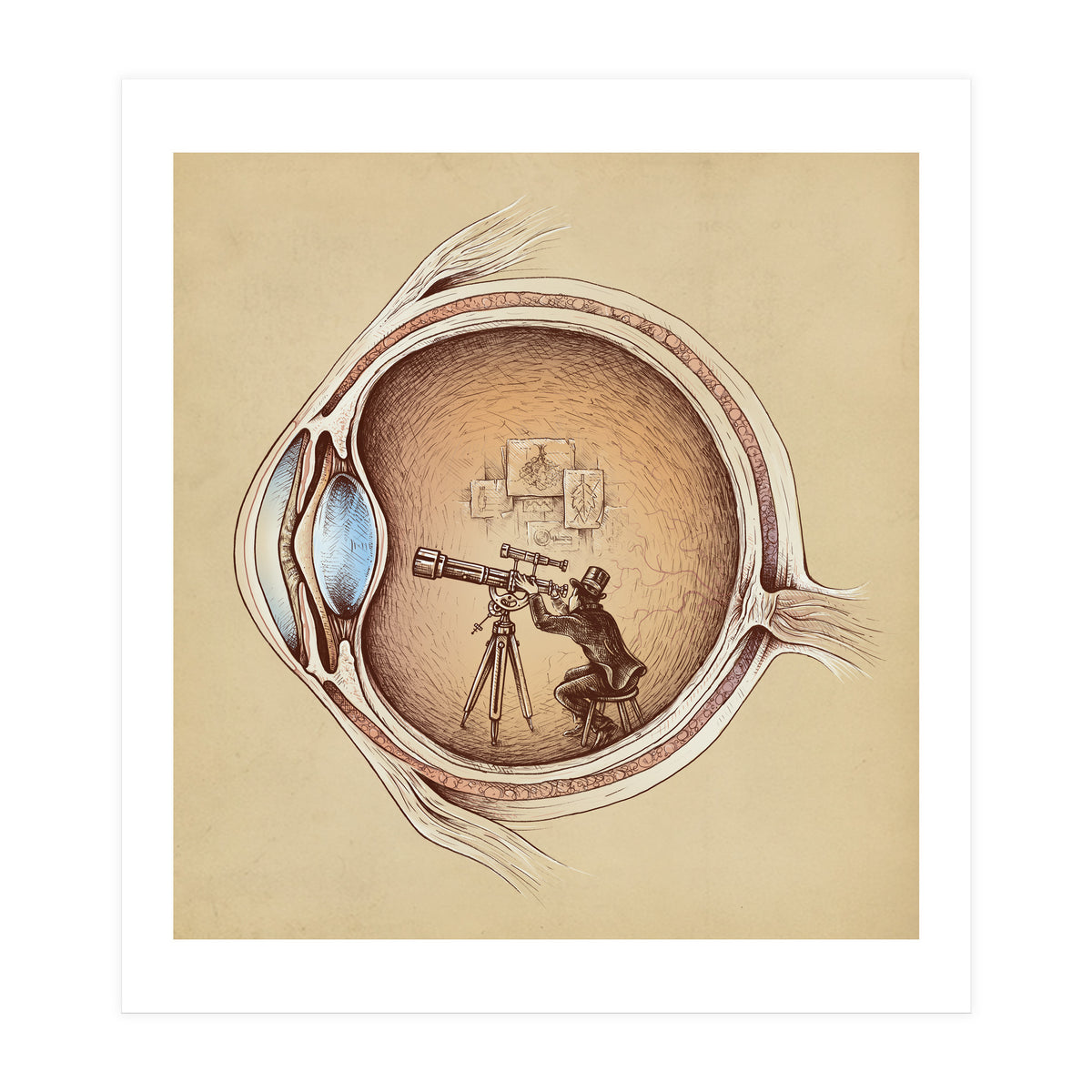 Extraordinary Observer (Print Only)