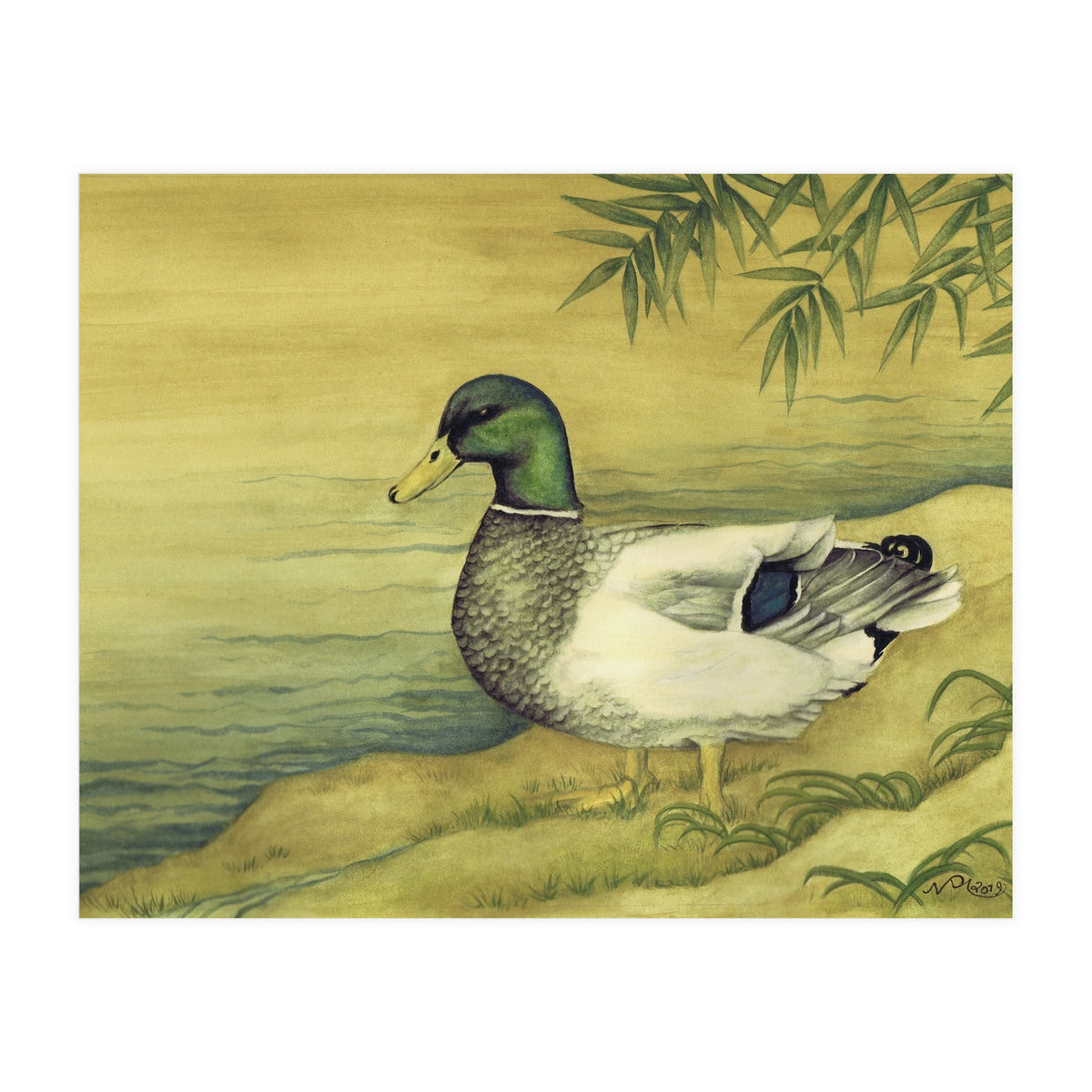 Mallard (Print Only)