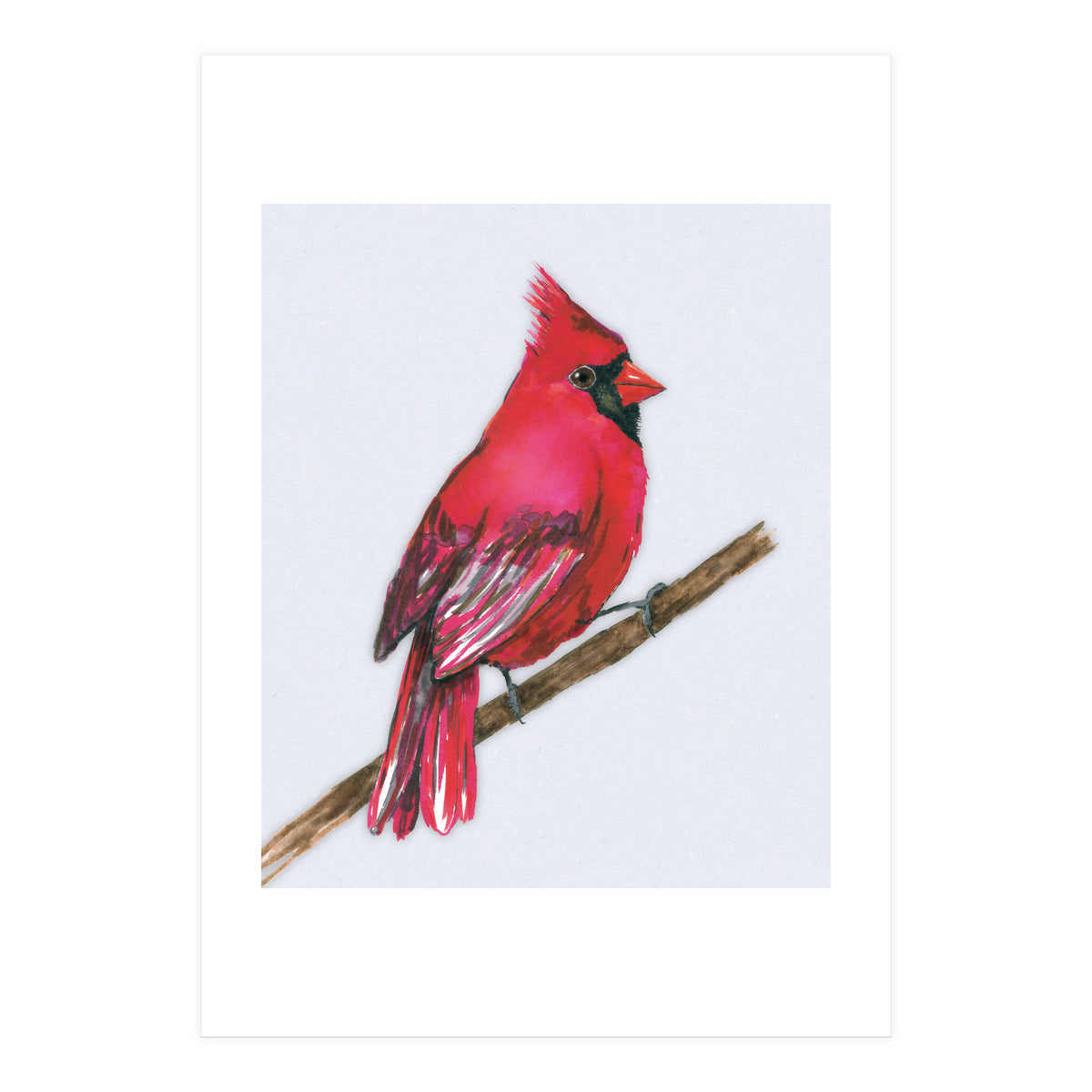A Northern cardinal watercolor (Print Only)