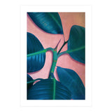Ficus Elastica (Print Only) thumbnail