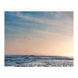 Pelican Sunset (Print Only) thumbnail