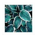 Sacred Edge (Print Only) thumbnail