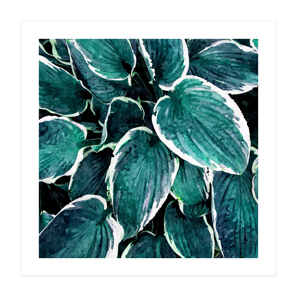 Sacred Edge (Print Only)