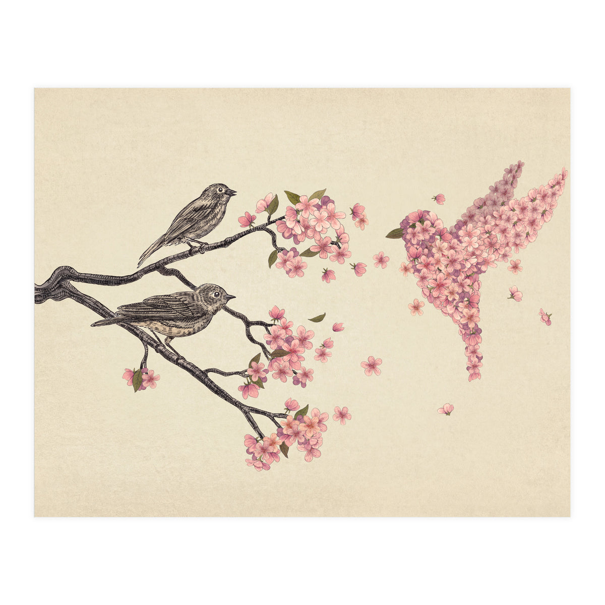 Blossom Bird (Print Only)