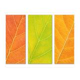 Autumn Leaves (Print Only) thumbnail