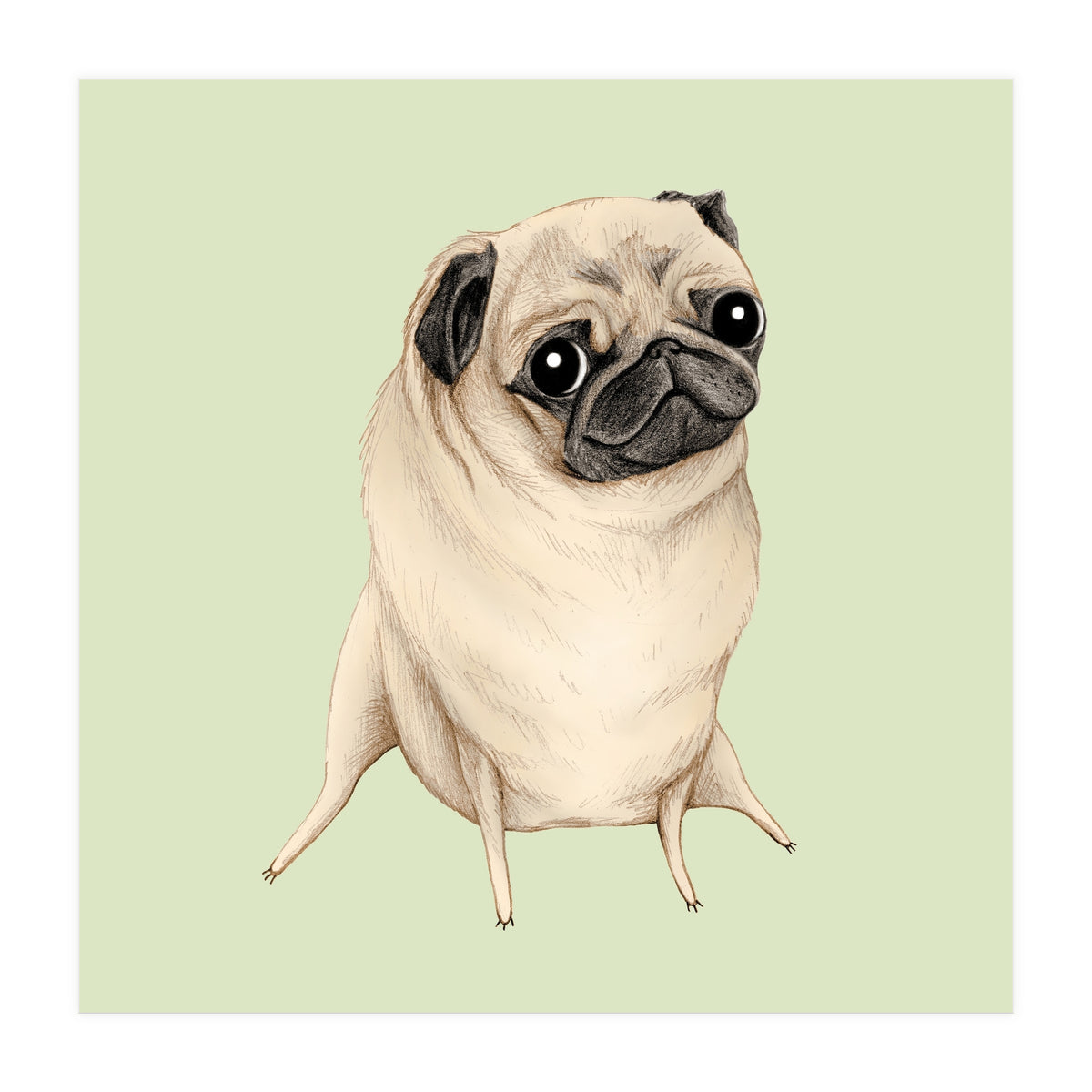 Sweet Fawn Pug (Print Only)