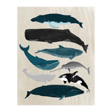 Whales (Print Only) thumbnail