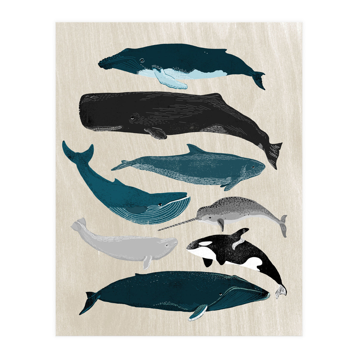 Whales (Print Only)