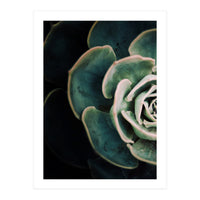 Darkside Of Succulents 4-E (Print Only)