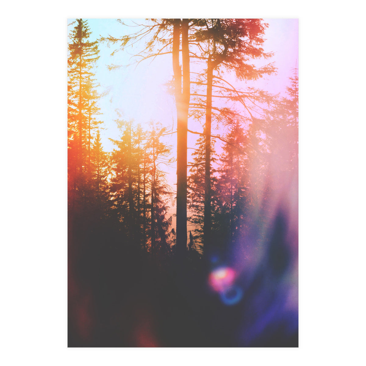 Finding Light (Print Only)