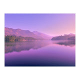 Nature (Print Only) thumbnail