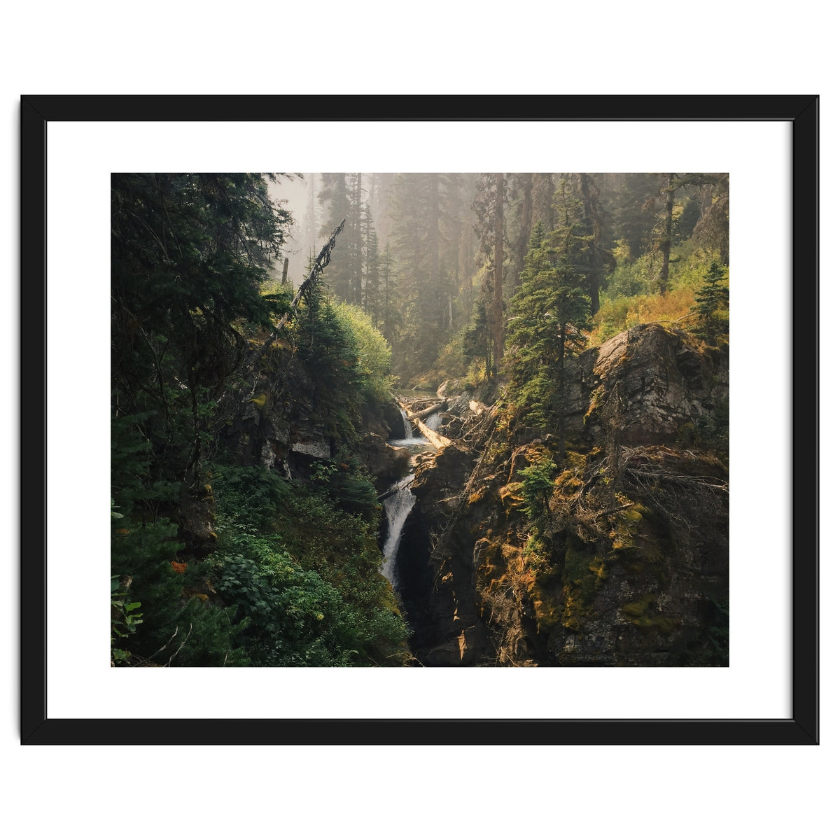 Glacier National Park I