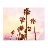 Coconut Groove (Print Only) thumbnail