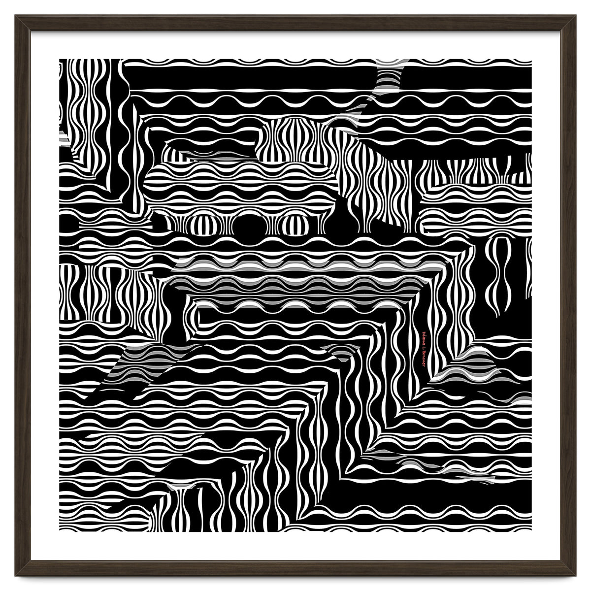 BLACK AND WHITE EXOTIC