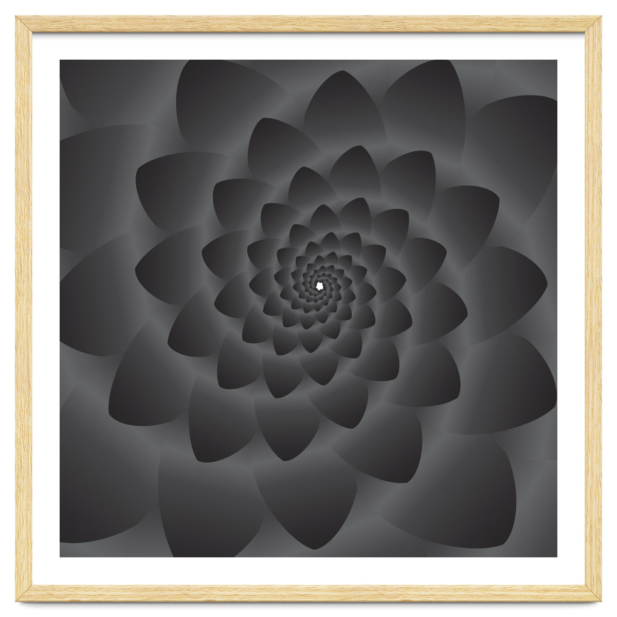 3 D Modern Black Floral