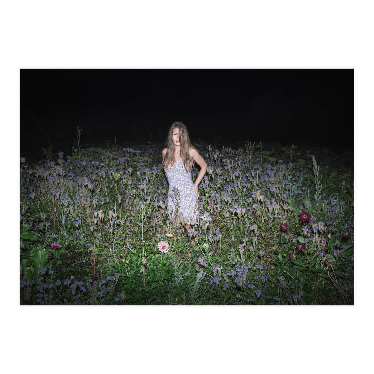 Insomnia (Print Only)