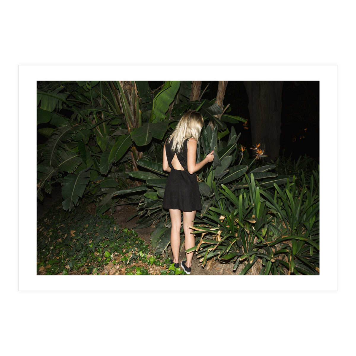 Hiding Game (Print Only)