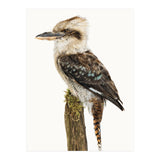 Cc Birds 08 (Print Only) thumbnail