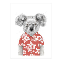 Summer Koala  (Print Only)
