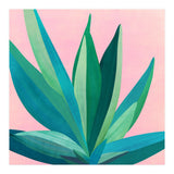 Southwest Agave (Print Only) thumbnail