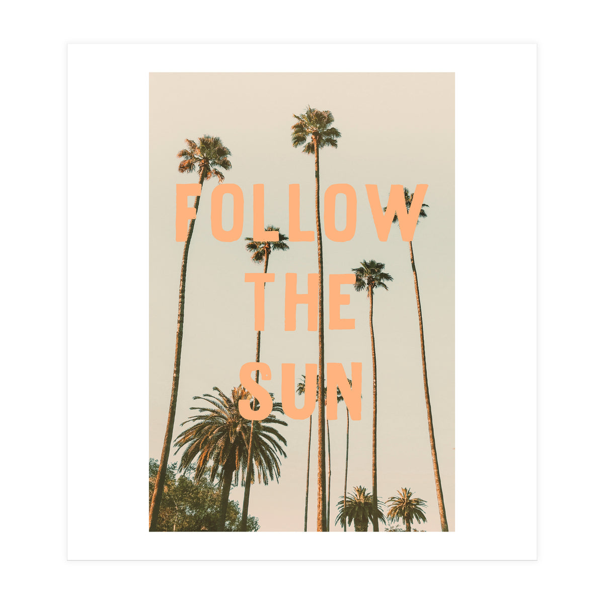 Follow The Sun (Print Only)