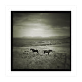 Gillen (Print Only) thumbnail