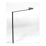 The Street Light (Print Only) thumbnail