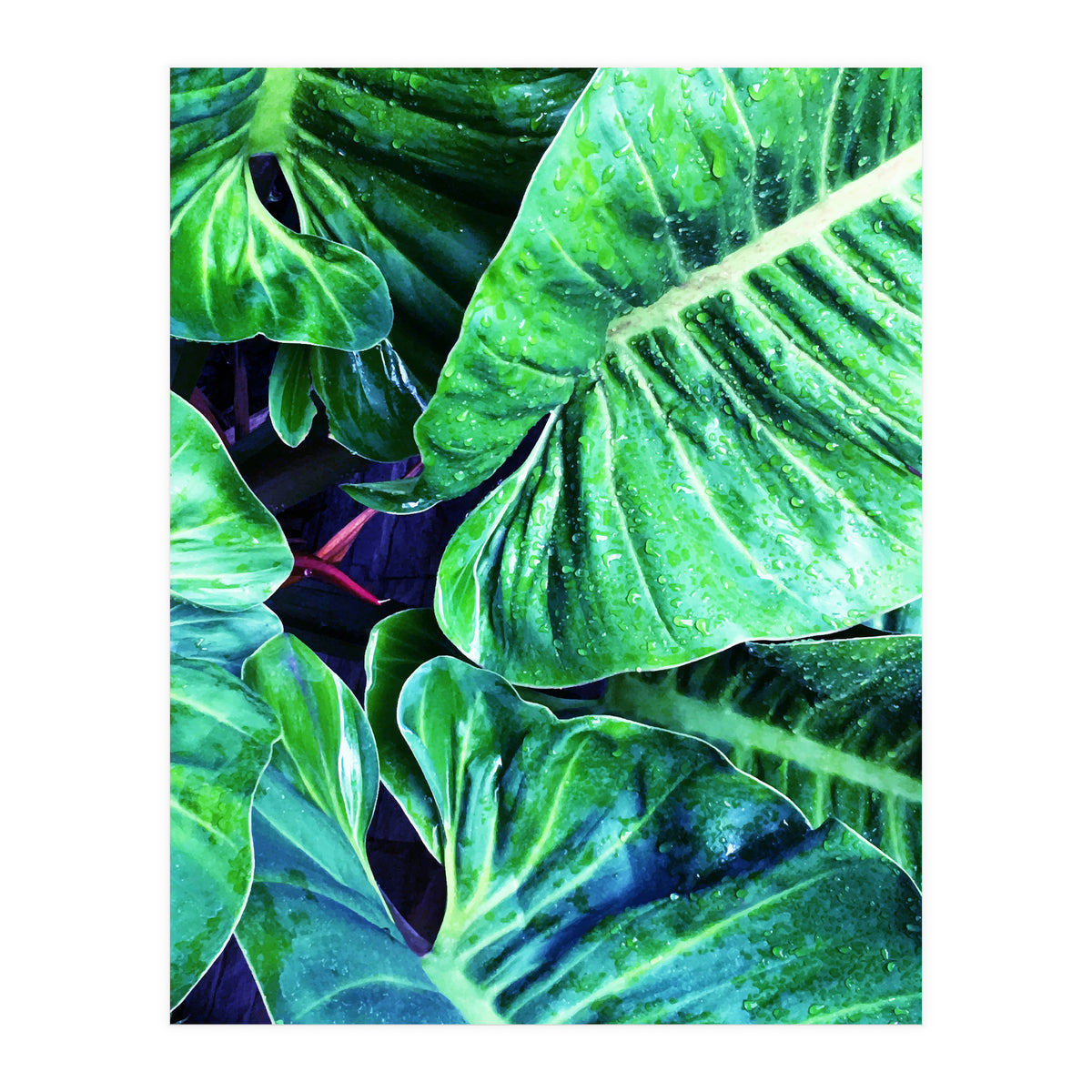 Another Botanical (Print Only)