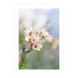 FLOWER (Print Only) thumbnail