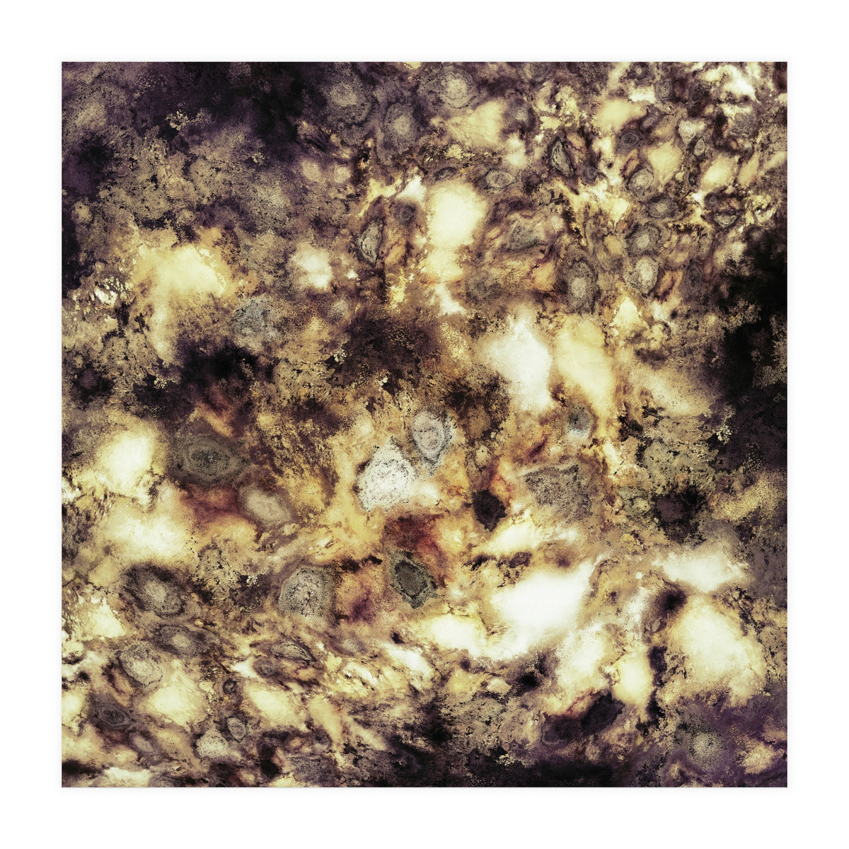 Demolition (Print Only)