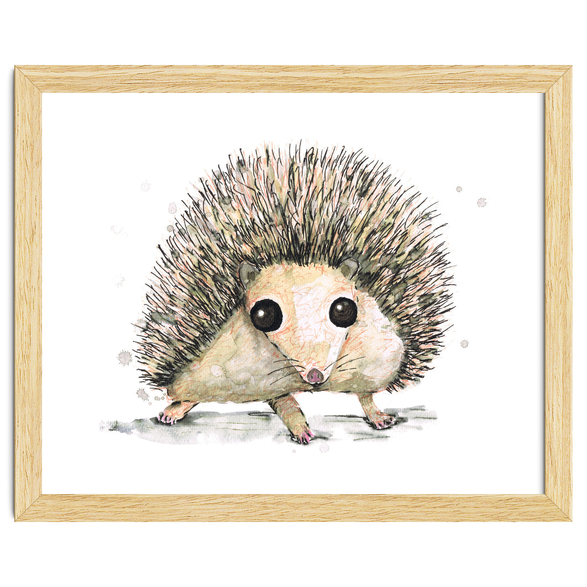 Hedgehog