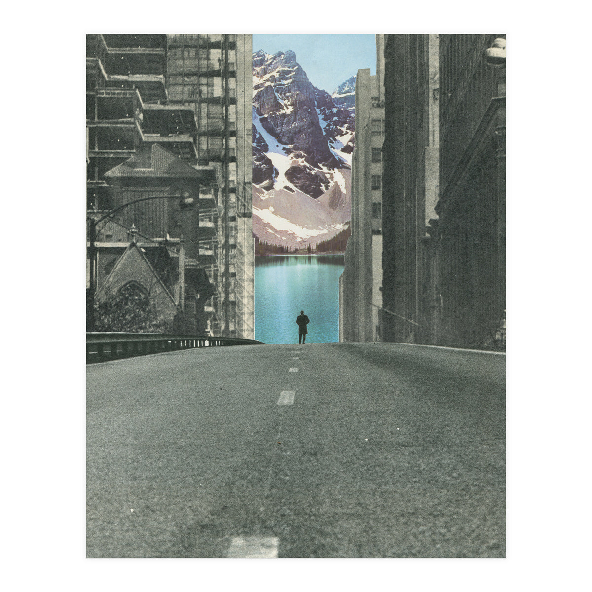 Into The Wild (Print Only)