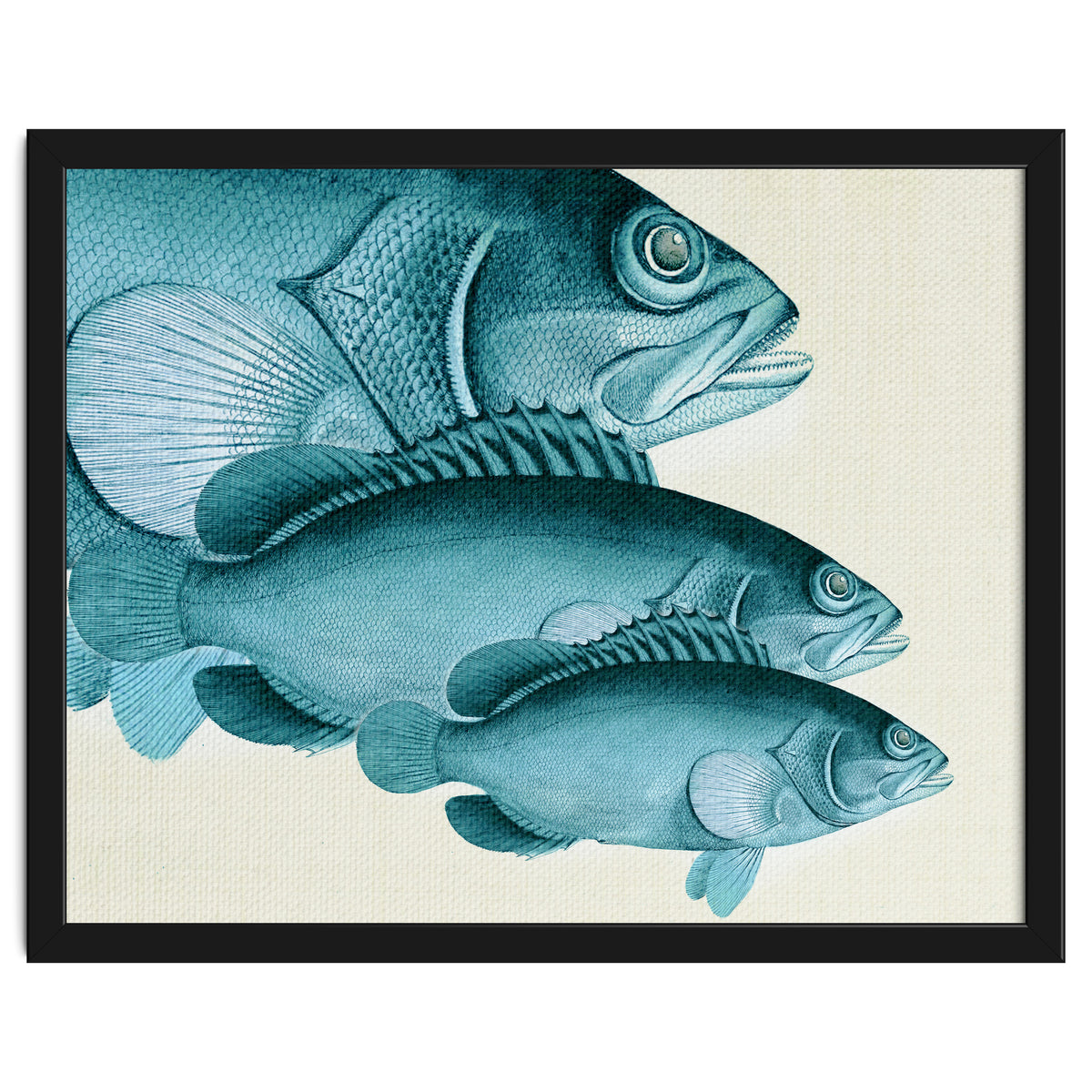 Fish Classic Designs 4